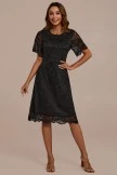 Black Lace Short Sleeve Round Neck Midi Dress 6 Black Lace Short Sleeve Round Neck Midi Dress - Image 4
